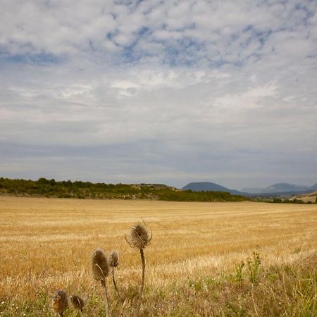 Casa Campo, Casa Rural Entre Jaca Y Anso Biniés Eksteriør bilde