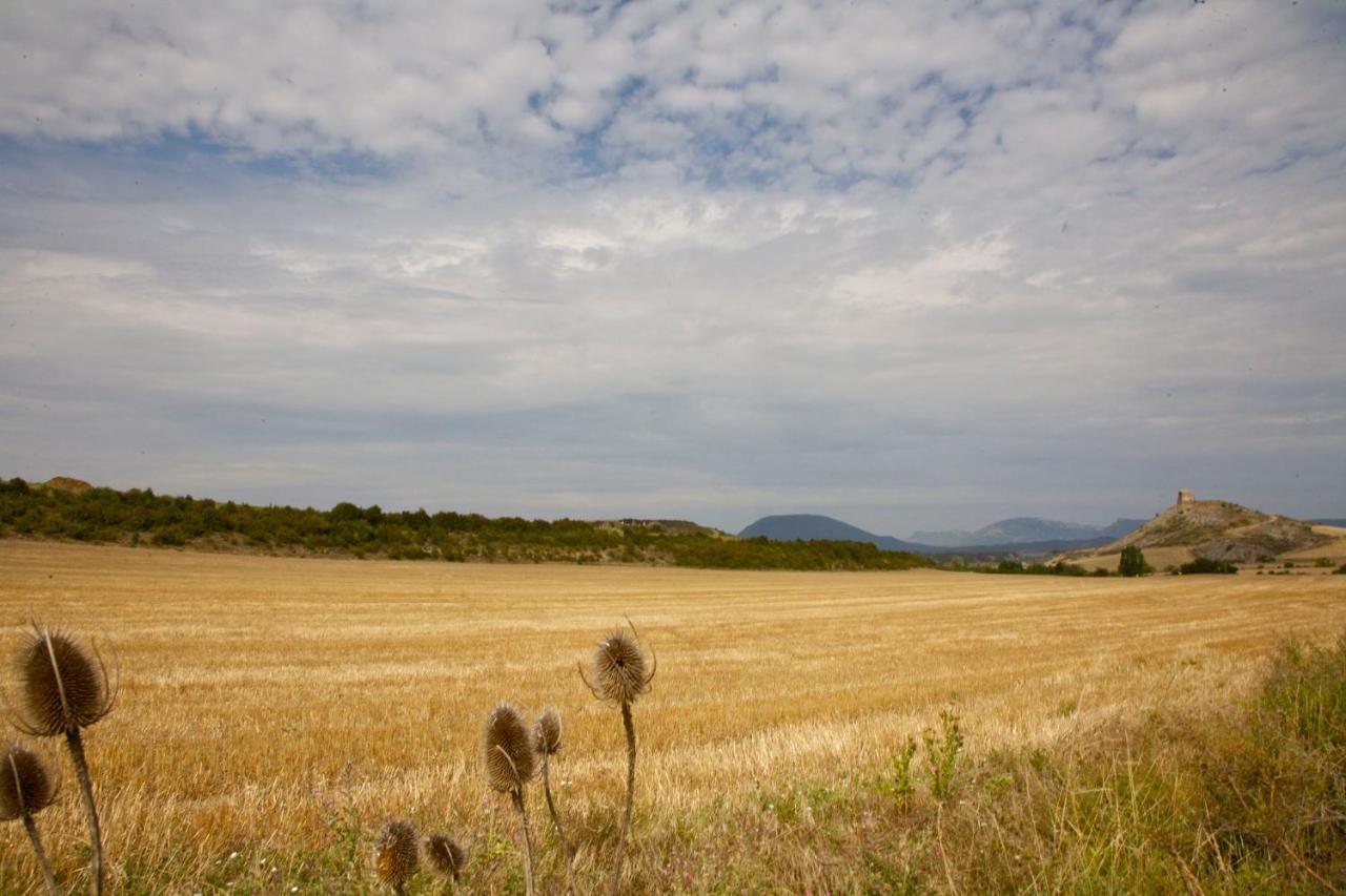 Casa Campo, Casa Rural Entre Jaca Y Anso Biniés Eksteriør bilde